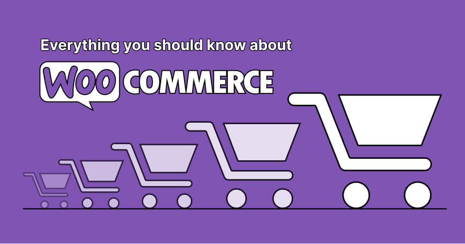 What-is-WooCommerce_-Everything-you-should-know-about-it